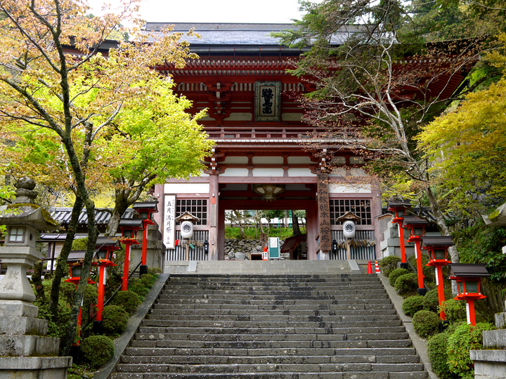 有哪些以日本镰仓幕府室町幕府战国为主题的发烧友旅游路线