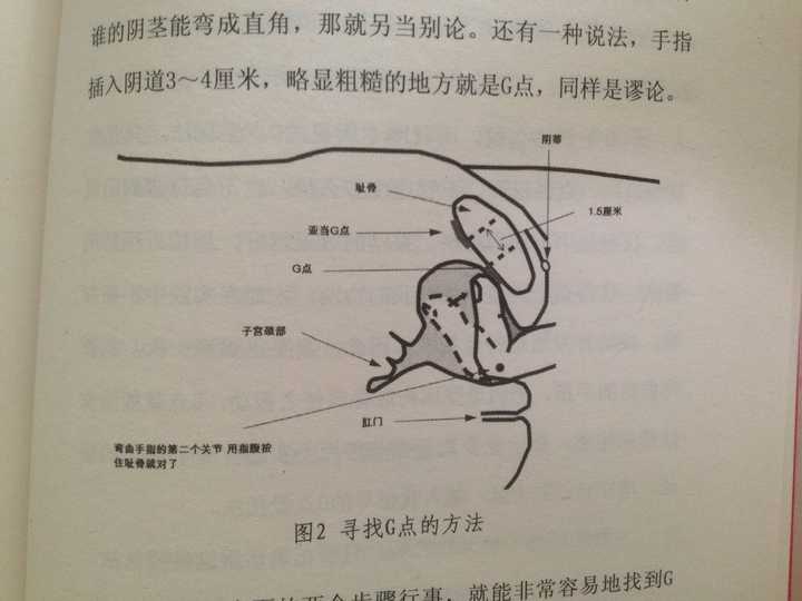 2,手指完全插入阴道后,弯曲手指的第二关节,让指腹顶住耻骨.