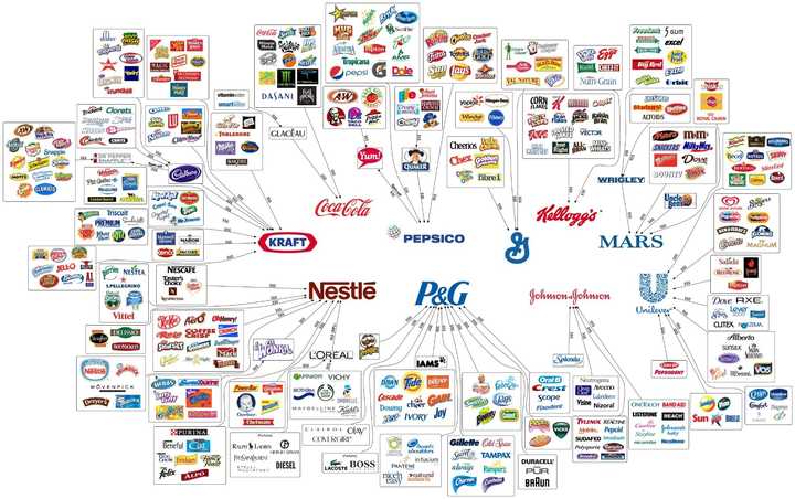 除了宝洁公司外,还有哪些公司执行多品牌战略?