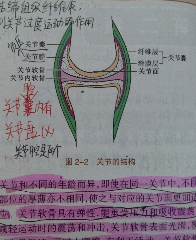 切除半月板后是种怎样的体验?