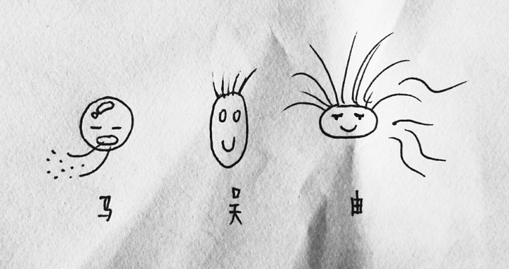 如何分辨马陆,蜈蚣,蚰蜒?