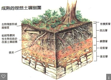 请问土壤和第四纪沉积物到底有何区别