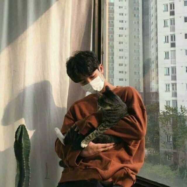 我大概排了一下顺序是:女生头像→男生头像→动漫头像→情侣头像 动漫