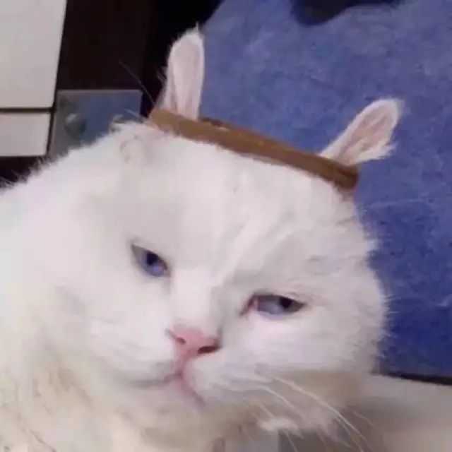 有没有一些既可爱又沙雕的女生头像?