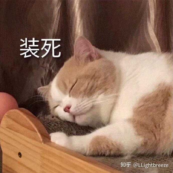 遇到这种情况我是真的尬到抠脚抠出个三环房加个四合院.