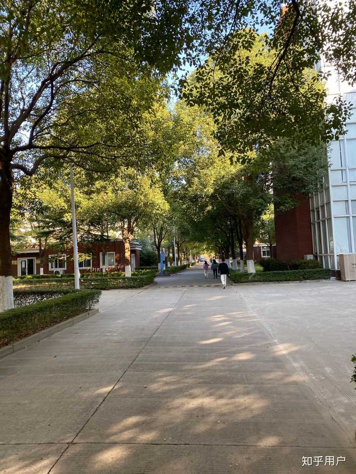上海立达职业技术学院学校风气怎么样?