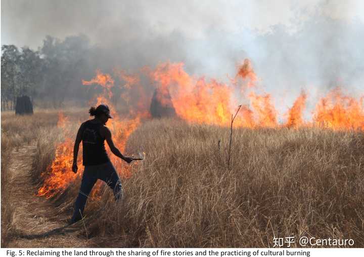 澳大利亚有一种燃烧的火 叫 cultural burn,是什么意思啊?