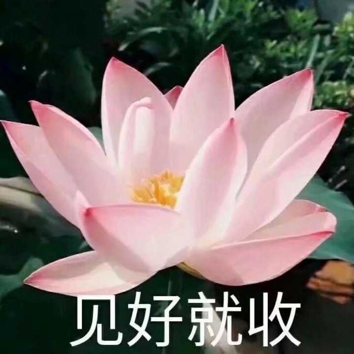 微信头像会影响第一印象吗?