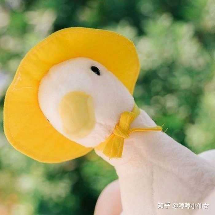 有没有什么阳光向上的手机壁纸,头像?