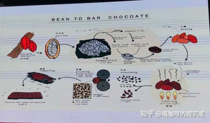 星巴克那个到底是热巧克力还是热可可?