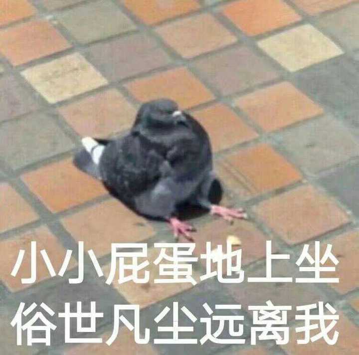 啥类型的表情包都有 可以的话点个赞再走吧 啵啵啵 泻药 作为表情包届