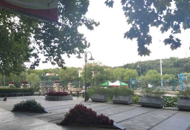 南京工业大学的校园环境如何?