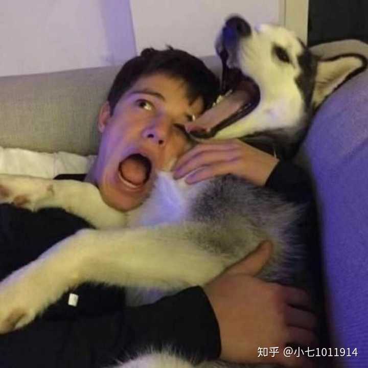 有没有女孩子抱着狗狗的头像,越多越好?