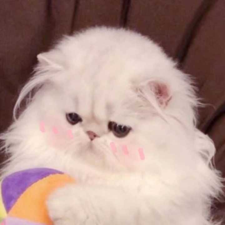 各位大佬,有没有比较丧的头像?