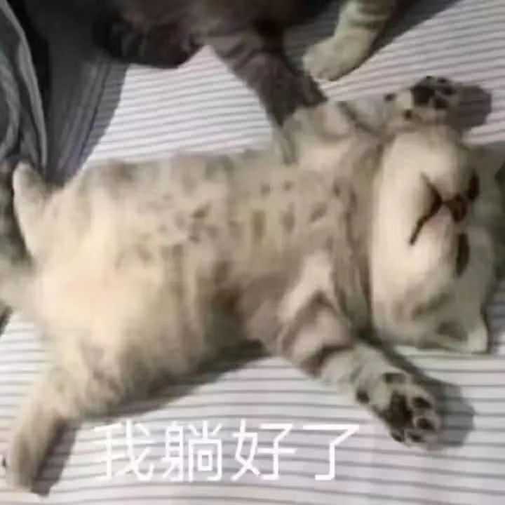 有哪些哄女朋友的表情包?