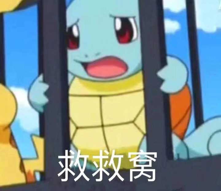 我好喜欢憨批龟哈哈哈哈哈可爱到过分