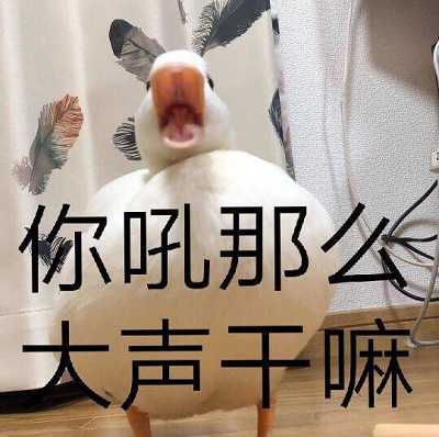 你们有没有鹅子鸭子的表情包