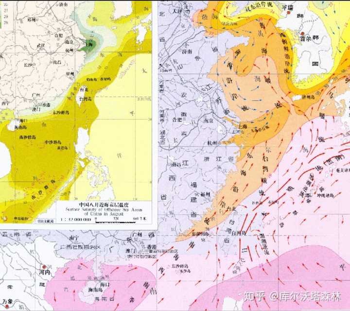 中国海域8月沿岸流分布