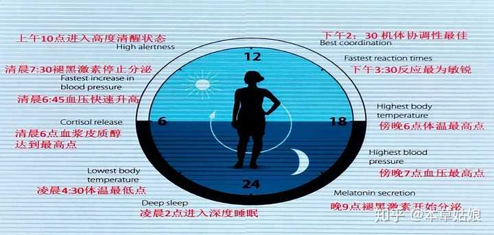 怎么改变昼夜颠倒的生物钟?