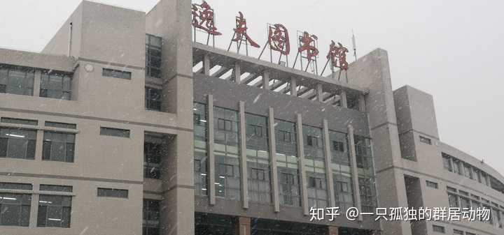 北京中医药大学东方学院和河北北方学院哪个比较好?