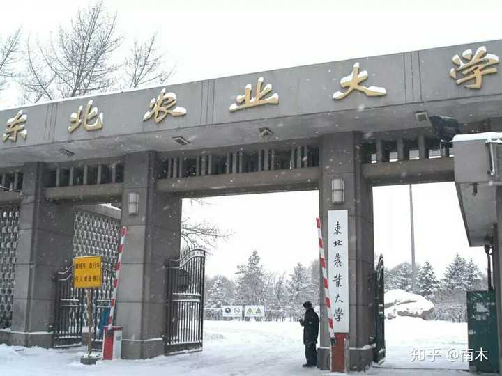 在东北农业大学就读是什么体验?