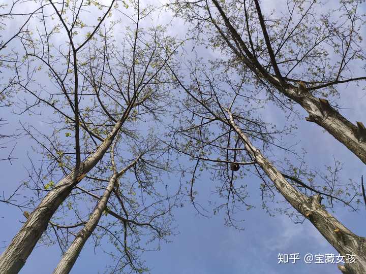 大家有到目前为止感觉自己拍的最好的一张照片吗 知乎