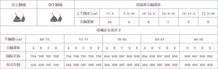 女性文胸杯型尺寸尺码对照表