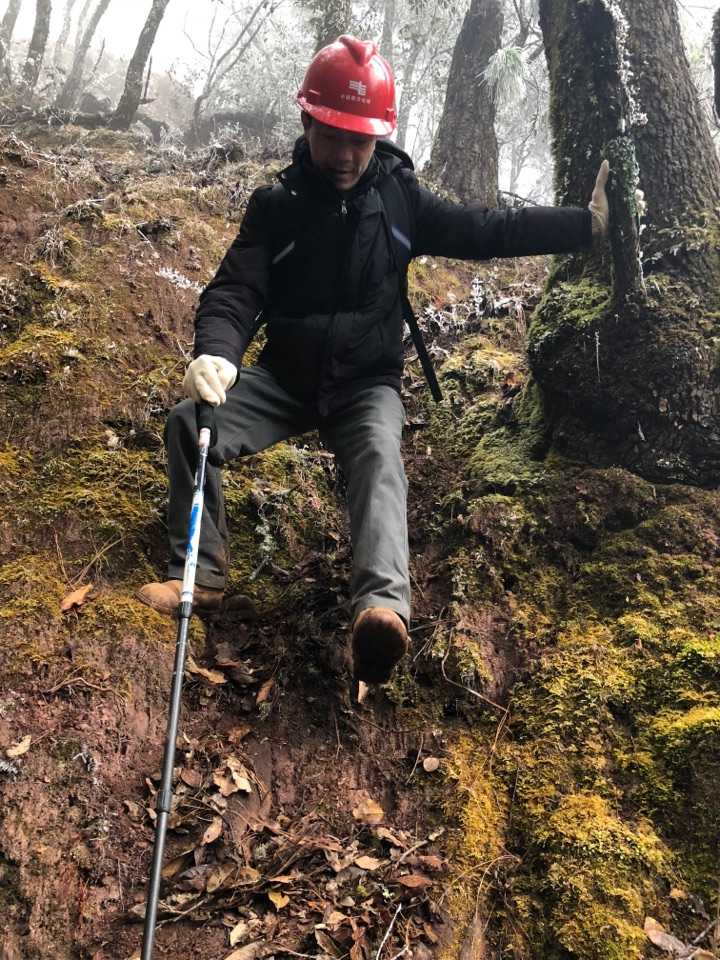 高压电力工人,基本都是行走在深山老林,整日与以大山作伴,同铁塔为舞.