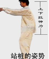 站桩有什么好处?站桩的要领是什么?