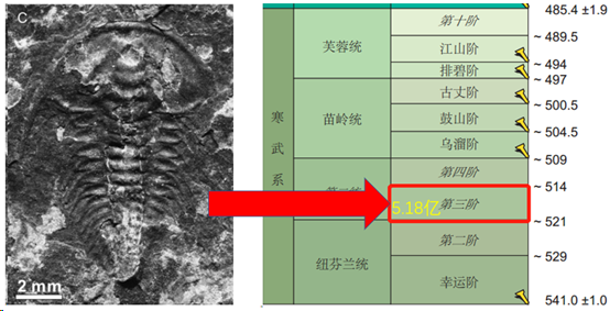 第二世,第三期(请随我默念地质年代顺序:宙代纪世期),大约距今 5