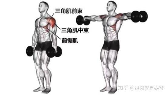 背部肌肉:包含背阔肌,菱形肌,冈上肌,刚下肌,大圆肌和小圆肌等 推荐