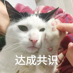 旁友们我回来啦!