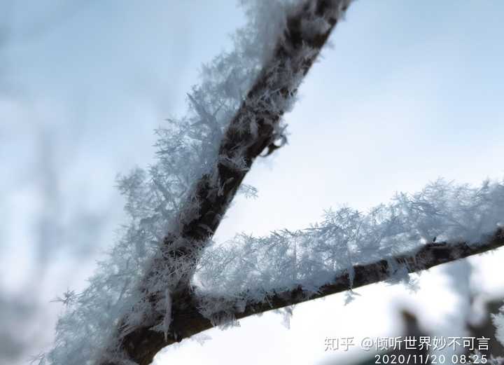 冬天到,下雪了,分享一张初雪的照片好吗?