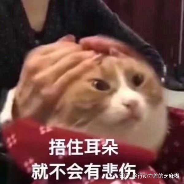 怎么看待男生用可爱卡通小猫小狗小兔表情包?