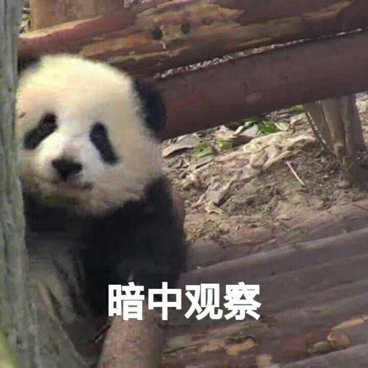 暗中观察~希望大家不喜轻点喷呐~我的心理素质不好呀