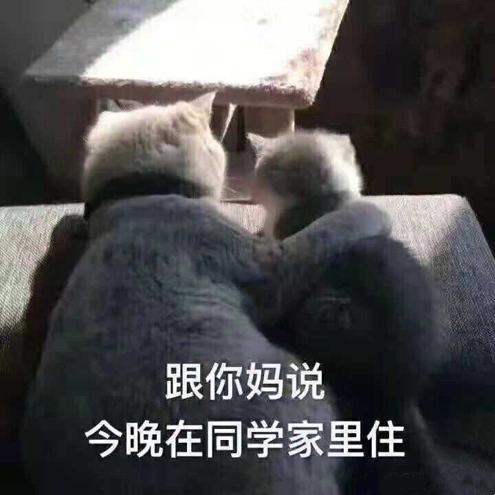 给女朋友发什么表情包合适?