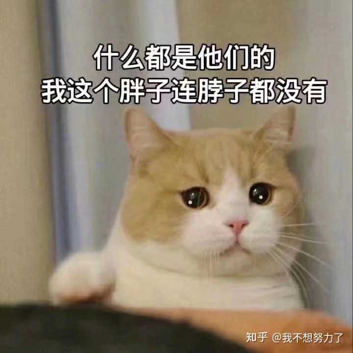 有哪些沙雕图适合做头像?