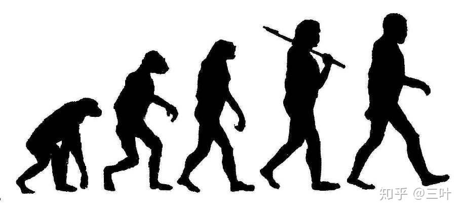 都说人类是由猴子进化而来的,那动物园里的猴子多长时间可以进化成人?