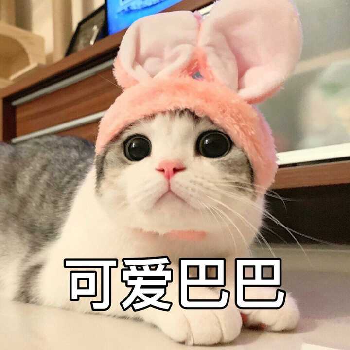 你平常聊天会用哪些「求人」的表情包?
