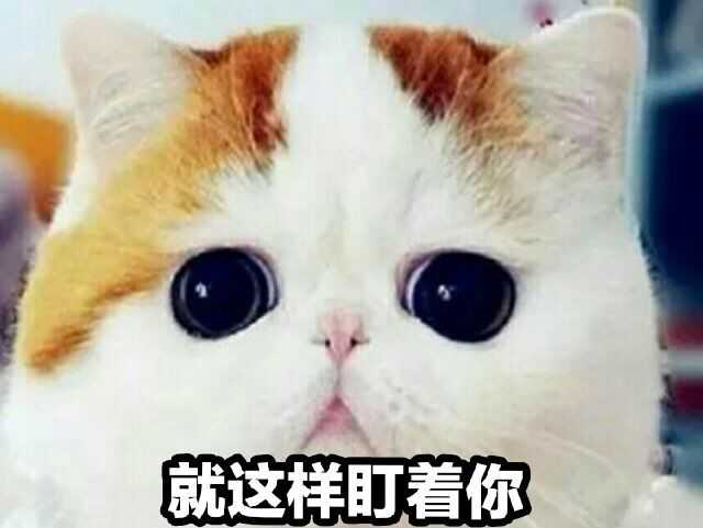 被室友称为表情包大佬的我不能再低调了_(:з」∠)_ 可爱的表情当然