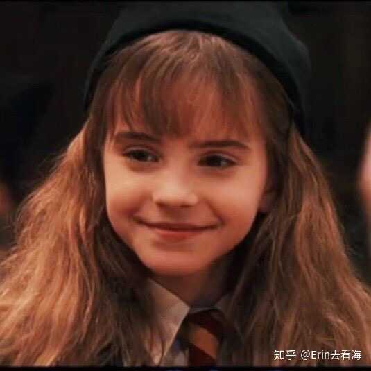 如何评价哈利波特中佩妮姨妈对harry的爱?