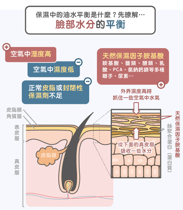 皮肤又油又干怎么办?