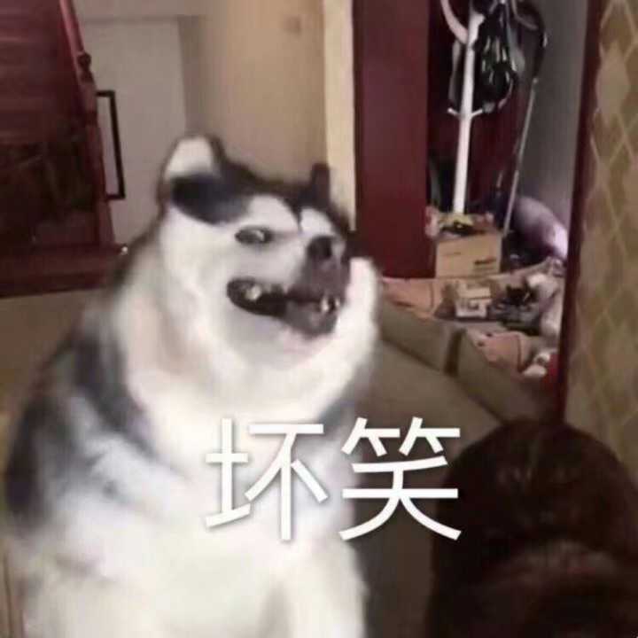 有没有坏笑的表情包?