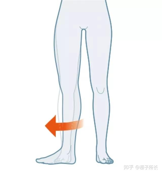 髋外旋和髋内旋相反,就是 髋骨,膝关节,脚踝都向外转.