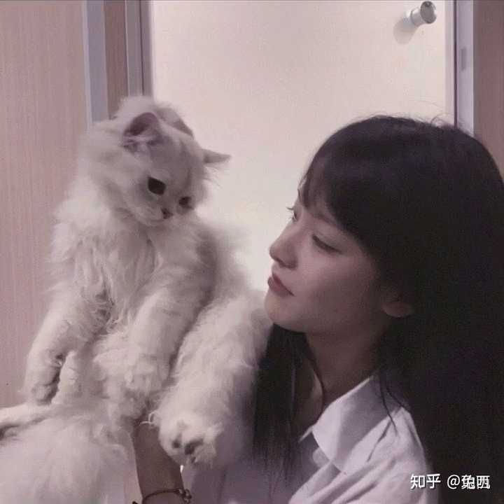 有没有女生抱着猫咪的头像呀?