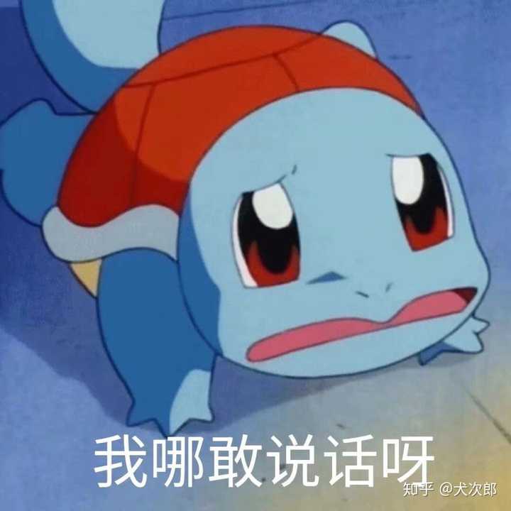 觉得女朋友长得越来越像杰尼龟咋办?