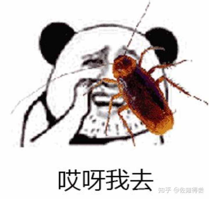 对于迎面飞回来的南方母蟑螂,不建议直接踩爆,小心它们爆浆,冒你一脸