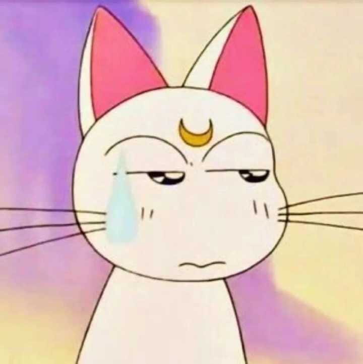 有什么沙雕而不失可爱的头像?