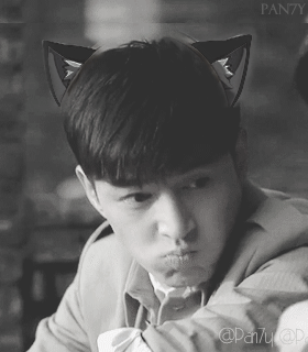 如何评价胡歌的长相