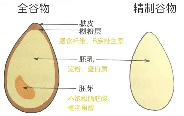 这不是普通外套朋友们,这是 保留了小麦中大部分b族维生素,矿物质